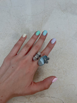 Tz1166 Nature ring plata