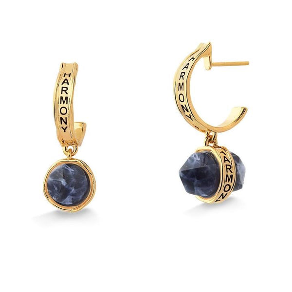 tz1545 Believe harmony earing